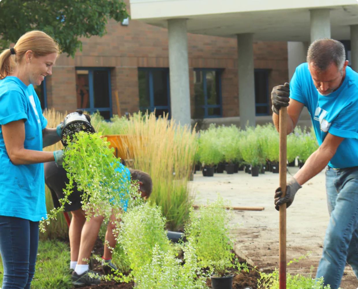 Landscaping In Action